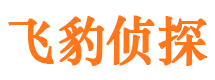 赤坎市婚外情调查